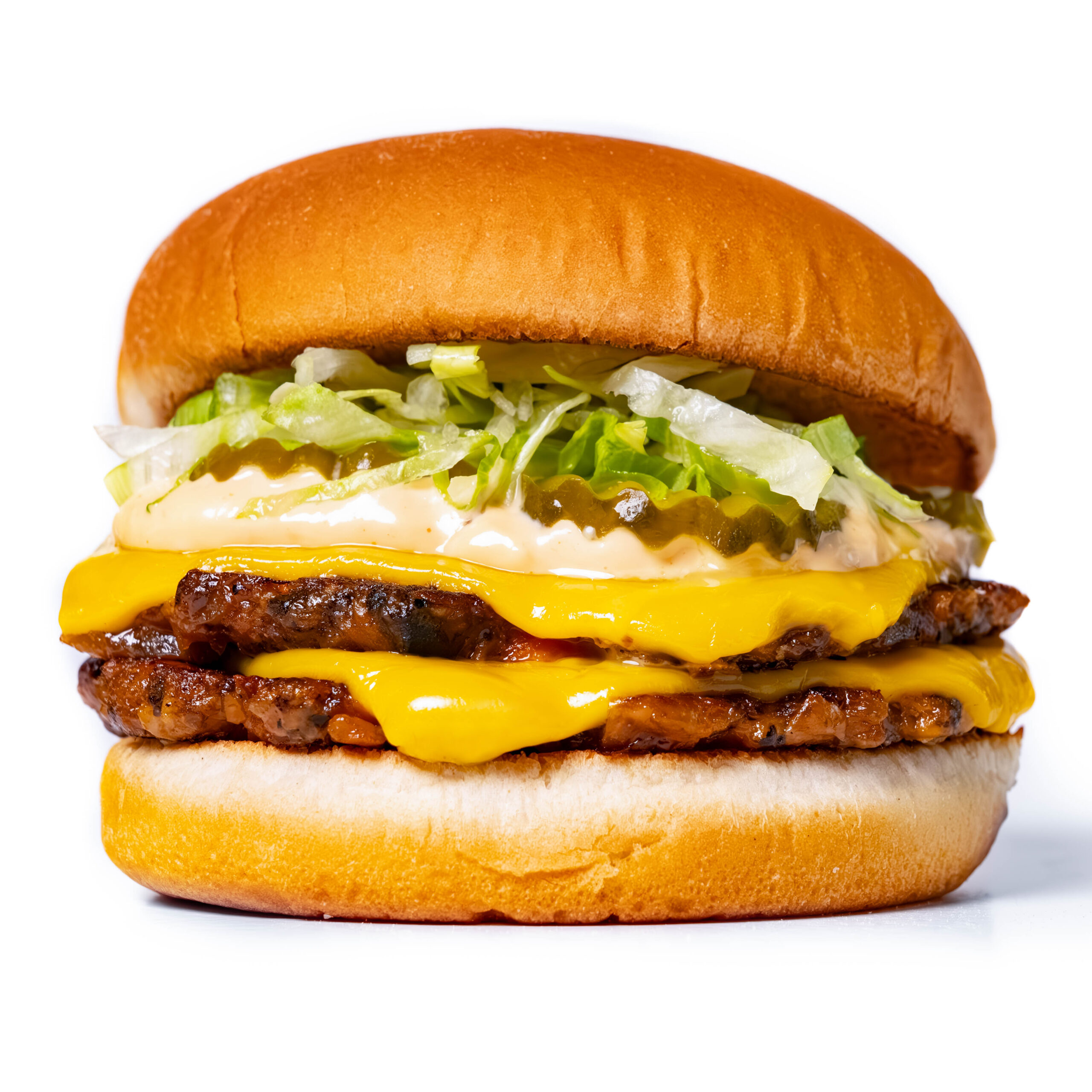 Veggie Burger with Cheese